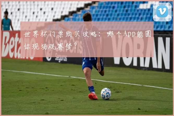 世界杯门票购买攻略：哪个App能圆你现场观赛梦？