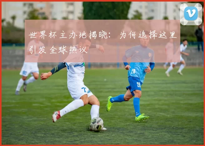 世界杯主办地揭晓:为何选择这里引发全球热议