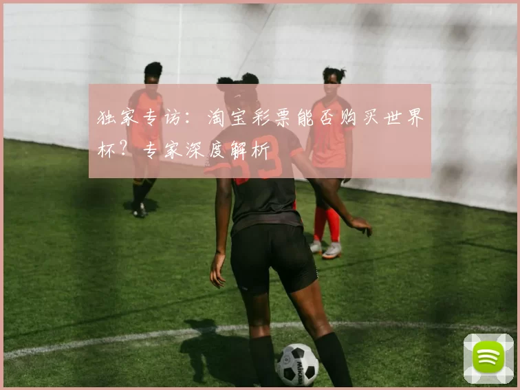 独家专访：淘宝彩票能否购买世界杯？专家深度解析
