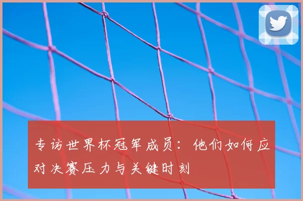 专访世界杯冠军成员:他们如何应对决赛压力与关键时刻