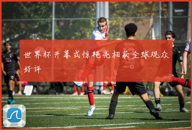 世界杯开幕式惊艳亮相获全球观众好评