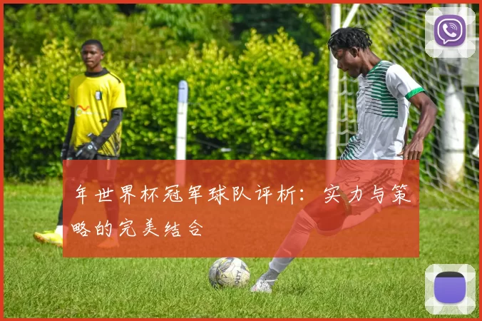 年世界杯冠军球队评析:实力与策略的完美结合