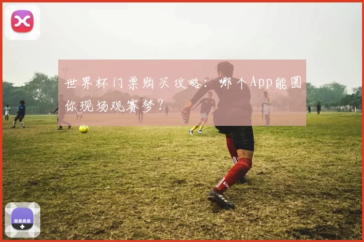 世界杯门票购买攻略：哪个App能圆你现场观赛梦？