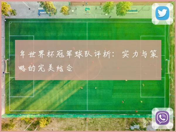 年世界杯冠军球队评析：实力与策略的完美结合
