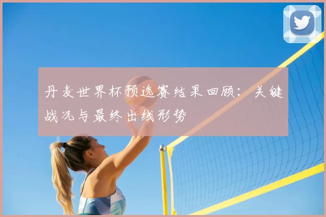 丹麦世界杯预选赛结果回顾:关键战况与最终出线形势