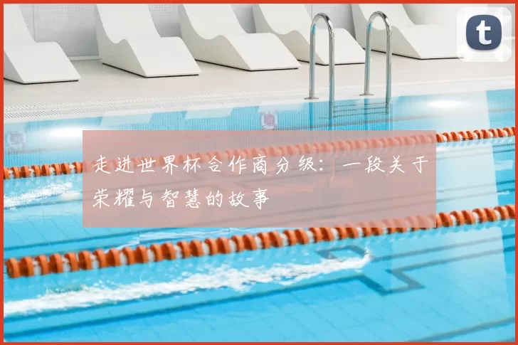走进世界杯合作商分级:一段关于荣耀与智慧的故事