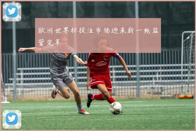 欧洲世界杯投注市场迎来新一轮监管变革