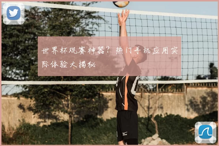 世界杯观赛神器?热门手机应用实际体验大揭秘
